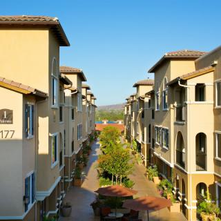 A view of modern apartment buildings with a central pathway lined with trees under a clear blue sky.
