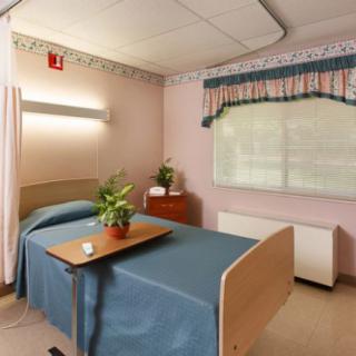 A hospital room with a single bed, bedside table, and plant.