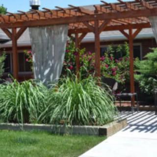 A backyard pergola with lush greenery and a cozy seating area.