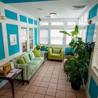 A bright and inviting living room with a green sofa, armchair, and lush indoor plants.