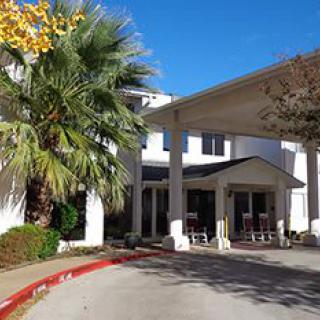 A sunny view of a building entrance with palm trees and columns.