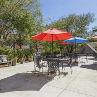 A sunny outdoor patio with tables and colorful umbrellas surrounded by trees.