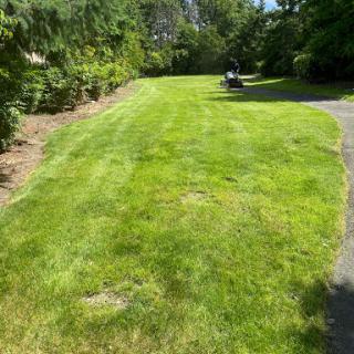 A well-maintained grassy area alongside a pathway, surrounded by trees.