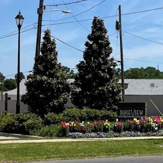 A vibrant landscaped area featuring blooming flowers and trees under a clear blue sky.