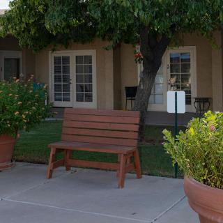 A peaceful garden patio with a wooden bench surrounded by potted plants.