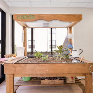 A beautifully arranged indoor gardening station, featuring a wooden planting table and various plants.