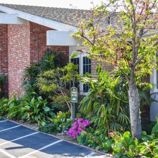 A well-maintained front yard with lush plants and flowers surrounding a brick house.
