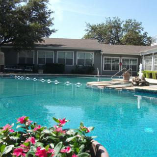 A tranquil swimming pool surrounded by residential buildings and vibrant flowers.
