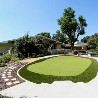 A well-maintained yard with a manicured lawn and modern house in the background.