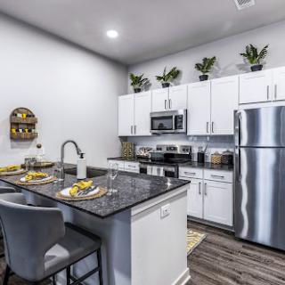 A stylish modern kitchen featuring white cabinetry, granite countertops, and decorative plants.