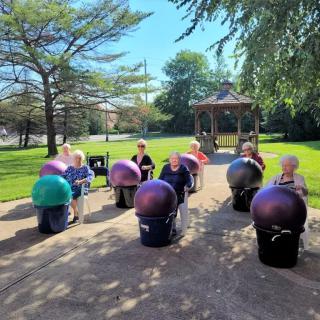 A group of seniors participates in an outdoor exercise class using fitness balls in a park.