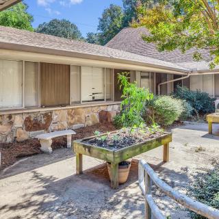 A sunny courtyard with a garden bed, benches, and lush greenery.