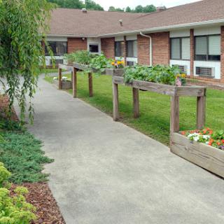A serene garden pathway bordered by raised vegetable beds in a residential setting.