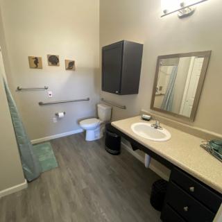 An accessible bathroom with a shower, sink, toilet, and grab bars.