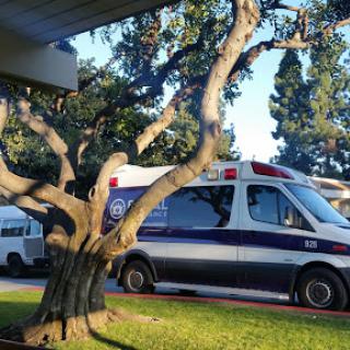 An ambulance parked beside a tree in a sunny outdoor setting.