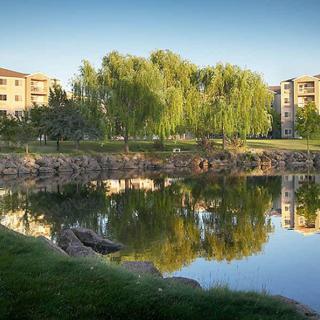 A serene lake reflecting surrounding trees and buildings, set in a peaceful landscape.