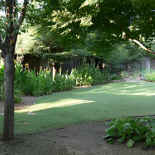 A serene garden with lush greenery and a winding pathway.