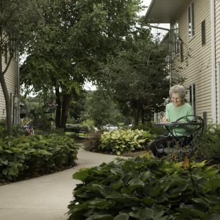 An elderly person sitting on a bench in a lush, green garden with a paved pathway.