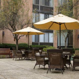 A serene outdoor patio area featuring tables and yellow umbrellas, perfect for relaxation.