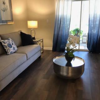 A cozy living room with a comfortable sofa, modern coffee table, and ample natural light streaming through sheer curtains.