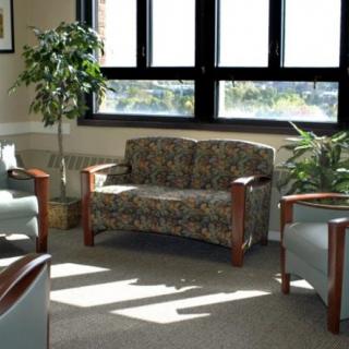 A waiting room with a sofa, chairs, and plants illuminated by sunlight streaming through the windows.