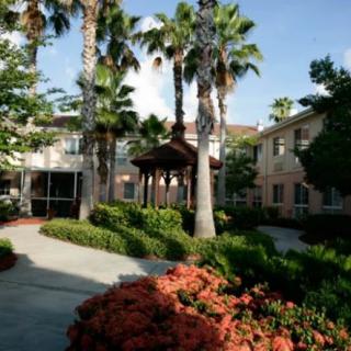 A landscaped courtyard with palm trees and a building in the background on a sunny day.