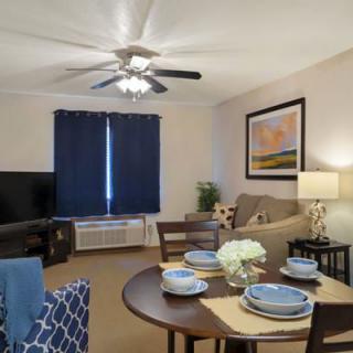 Cozy living and dining room with stylish decor and blue accents.