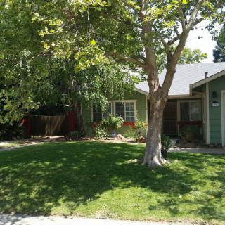 A suburban house surrounded by a lush green lawn and shaded by a large tree on a sunny day.