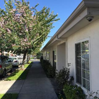 A residential street view with a sidewalk, trees, and building exterior.