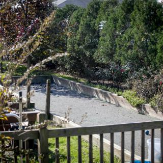 An abandoned swimming pool surrounded by trees and a wooden fence.