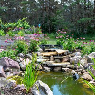 A tranquil garden pond with a small waterfall surrounded by rocks and lush greenery.