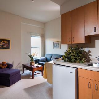 A cozy living area with a small kitchenette, featuring comfortable seating and indoor plants.