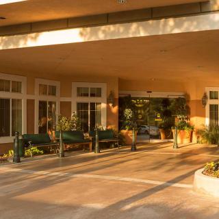The entrance of a hotel with large windows and greenery.