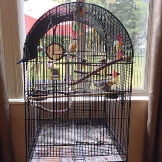 A bird cage with several birds inside, positioned near a window.