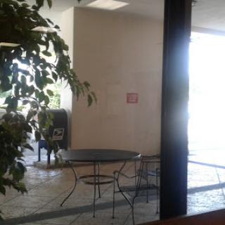 A quiet office space with a table and chairs, complemented by a potted plant and natural light.
