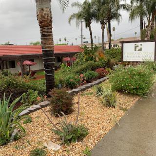 A serene garden area with lush greenery and palm trees, leading up to a hotel entrance.