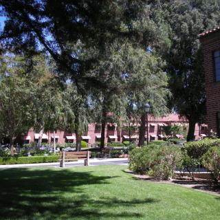 A view of a university campus with lush greenery and brick buildings.