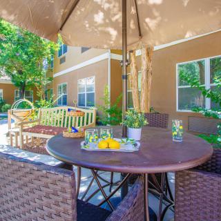 A cozy patio setup with a table, chairs, and an umbrella surrounded by lush greenery.