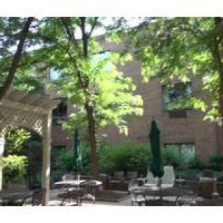 A cozy outdoor patio with tables and chairs surrounded by trees and greenery.