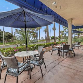 A sunny outdoor patio with tables, chairs, and umbrellas surrounded by palm trees.