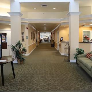A well-decorated hallway with a reception area, featuring comfortable seating and indoor plants.