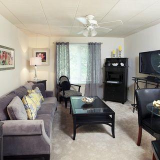 A cozy living room with a gray sofa, coffee table, and television.