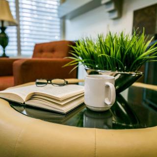 A cozy living room setup with a coffee mug, open book, and glasses on a glass table next to a green plant.