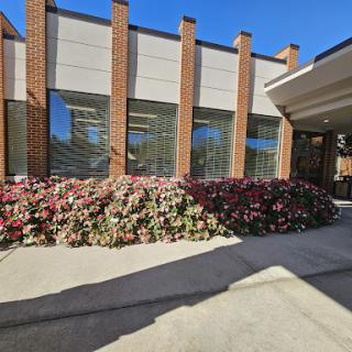An exterior view of a modern building surrounded by colorful flowers under clear blue skies.
