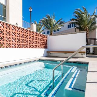 A modern outdoor swimming pool with palm trees under a clear, sunny sky.