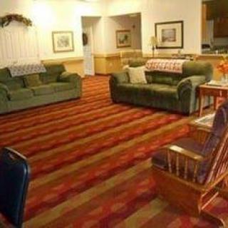 A cozy living room with green sofas and a patterned carpet.