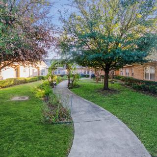 A serene garden with a winding pathway surrounded by lush greenery and trees.