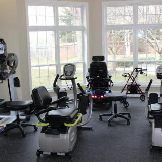 A fitness room with various cardio exercise machines arranged in front of large windows.