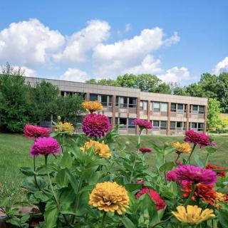 A colorful garden with various flowers in front of a modern building under a partly cloudy sky.