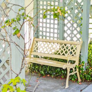 A peaceful garden bench surrounded by a lattice structure and lush greenery.